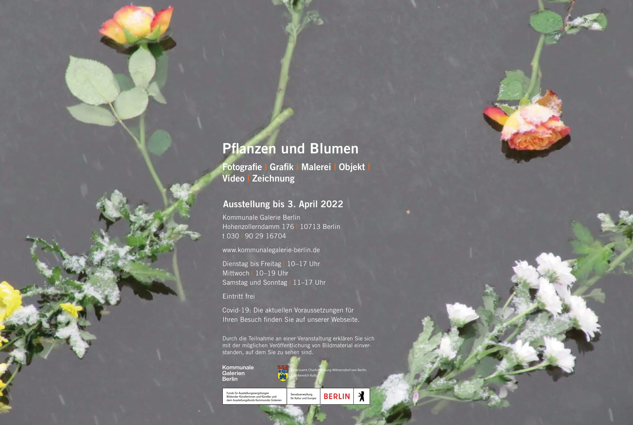 Pflanzen und Blumen exhibition 2
